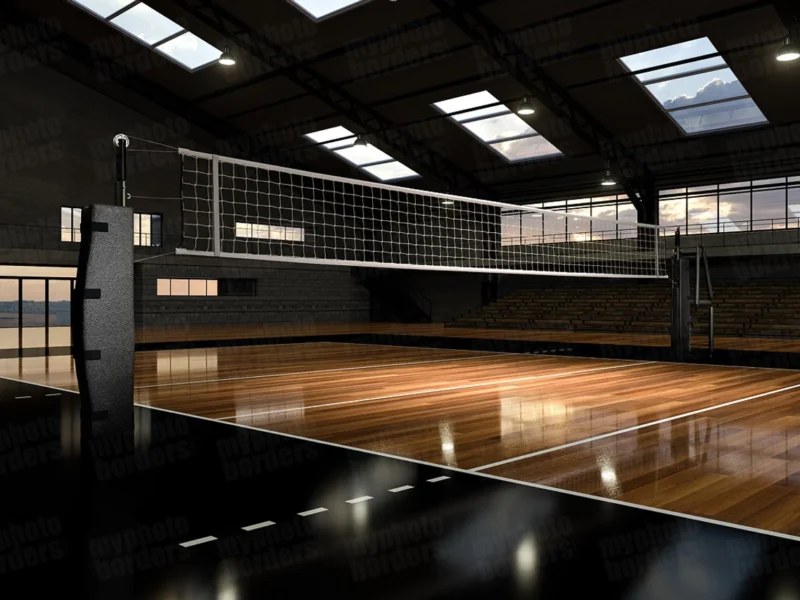 volleyball_court_horz_III__43813